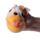 Squeezy Stretchy Cute Dog Toy