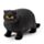 Stretchy Fat Cat Toy