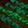 Minecraft Glow in the Dark Silicone Digital Watch