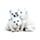 Wolf Puppies Trio
