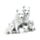 Wolf Puppies Family