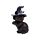 Witches Magical Black Cat World Figures