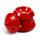 Eden Christmas Tree Oil Burner