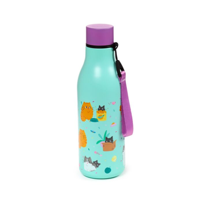 Beans & Co Cats Hot & Cold Drinks Bottle 500ml