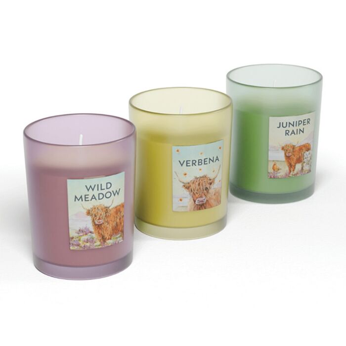 Jan Pashley Highland Coo Votive Scented Candle