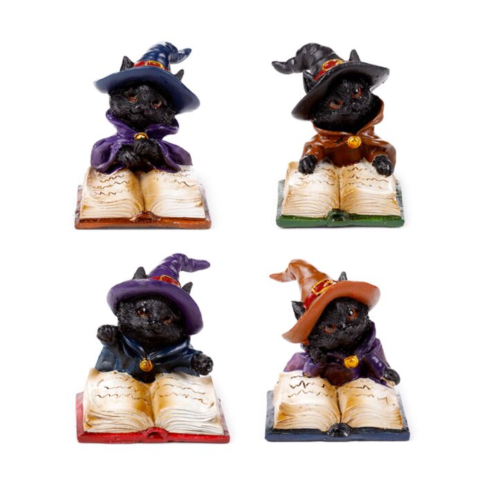 Witches Magical Black Cat Reading from Spell Book