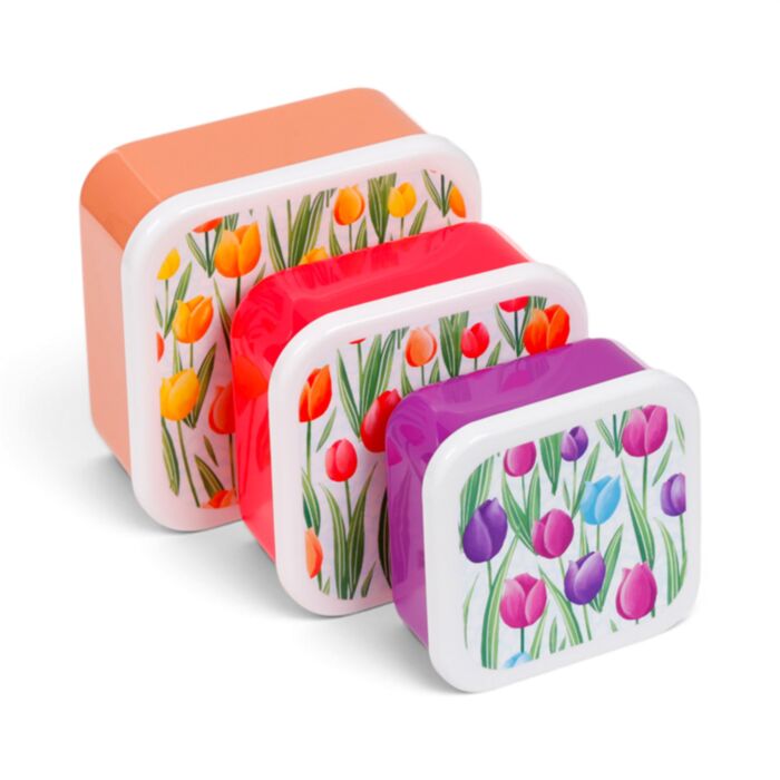 Set of 3 Lunch Box M/L/XL Tulips