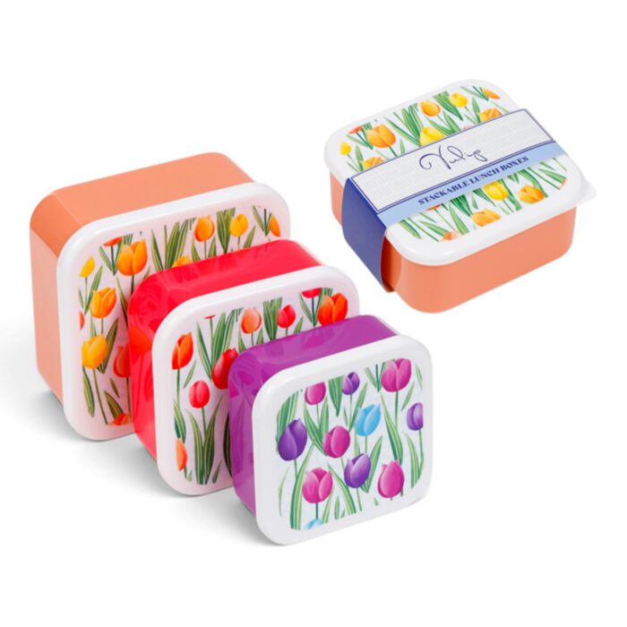 Set of 3 Lunch Box M/L/XL Tulips