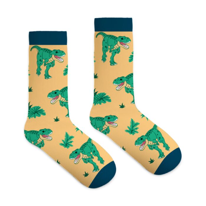 Dinosaur Compressed Magic Socks