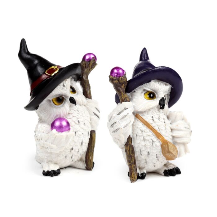 Wise Old Magical Owl on a Magical Journey