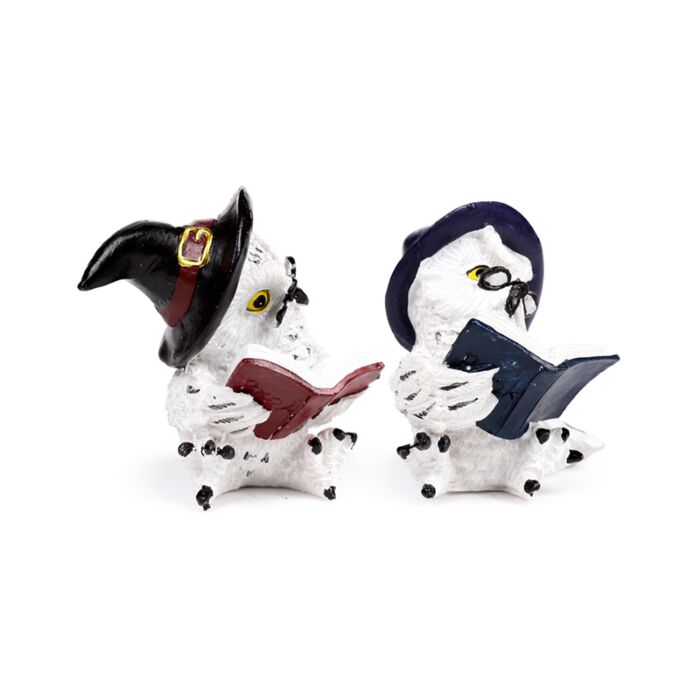 Wise Old Magical Owl Reading Spell Books