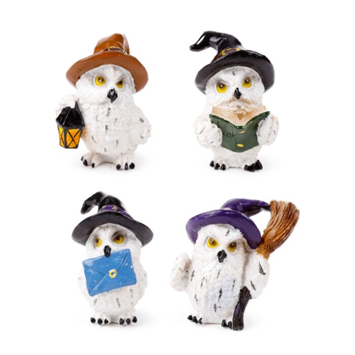 Wise Old Magical Owl Enchanted Apprentice