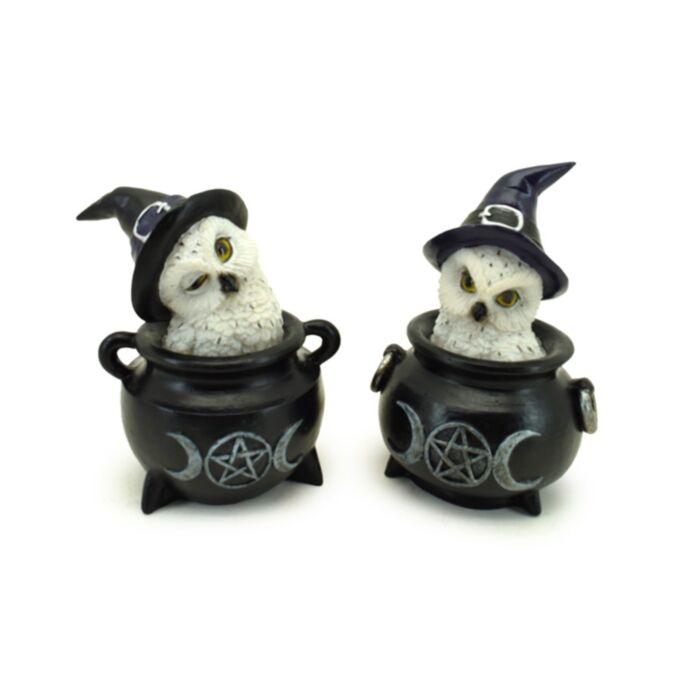 Wise Old Magical Owl in Cauldron