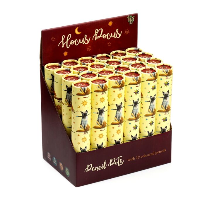 Lisa Parker Hocus Pocus Cat Large Pencil Pot with 12 Colouring Pencils