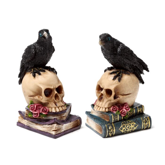Crow Perched on Skull & Books