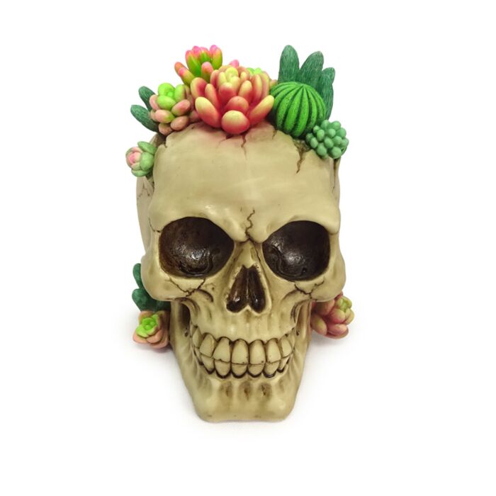 Skull with Succulent Plants Ornament