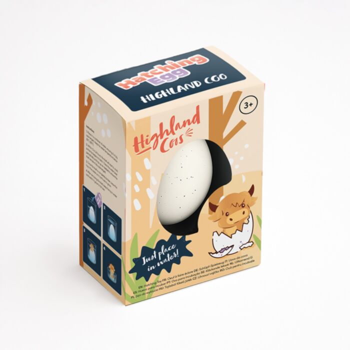 Highland Coo Cow Hatching Egg