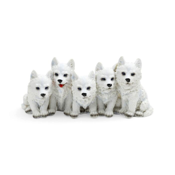 5 Mischievous Wolf Puppies