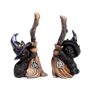Witches Magical Black Cat with Broomstick