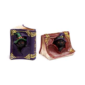 Witches Black Cat Mischievous Spell Book