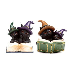 Witches Black Cat Magical Spell Book