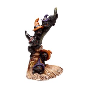 Witches Magical Black Cat Climbing Broomstick