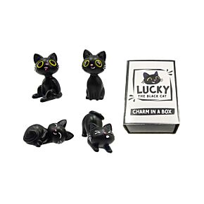 Lucky the Black Cat Charm in a Box Lucky the Black Cat Charm in a Box