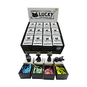 Lucky the Black Cat Charm in a Box