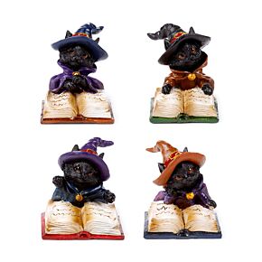 Witches Magical Black Cat Reading from Spell Book