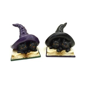 Witches Magical Black Cats Learning Spells