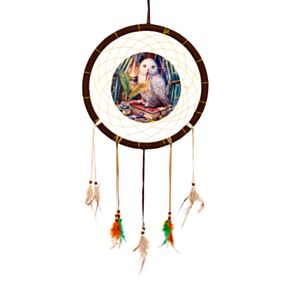 Lisa Parker Guardian Of Spells Owl Dreamcatcher 33cm