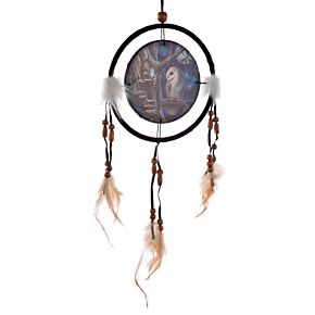 Lisa Parker Fairy Tales Owl & Fairy Dreamcatcher 16cm