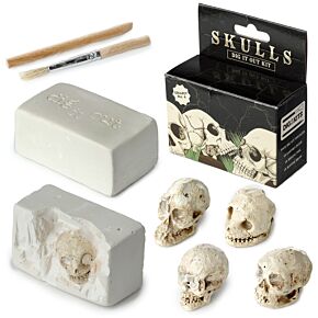 Human Skull Dig-A-Saurs Dig it Out Kit Human Skull Dig-A-Saurs Dig it Out Kit