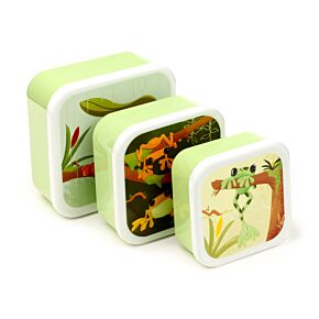 Set of 3 Lunch Box M/L/XL Tropical Tree Frog