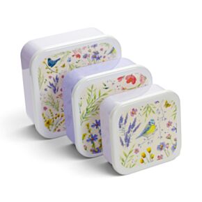 Set of 3 Lunch Box S/M/L Jan Pashley Wings & Wildflowers