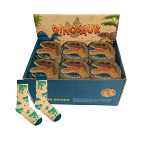 Dinosaur Compressed Magic Socks