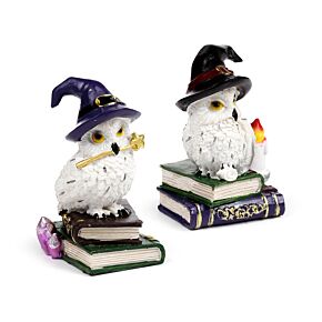Wise Old Magical Owl on Spell Books