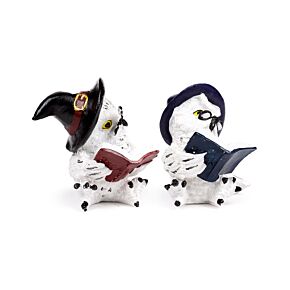 Wise Old Magical Owl Reading Spell Books