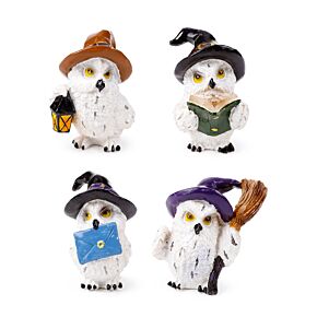 Wise Old Magical Owl Enchanted Apprentice