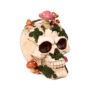 Skull with Toadstools & Moss Skull with Toadstools & Moss