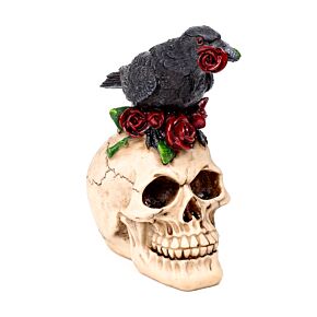Skull with Raven & Red Roses Skull with Raven & Red Roses