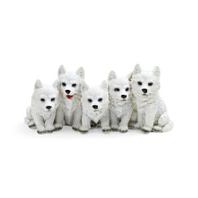 5 Mischievous Wolf Puppies