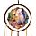 Lisa Parker Guardian of Spells Owl Dreamcatcher 16cm