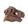 Rawr Dinosaur Skull Fossil Dig-A-Saurs Dig it Out Kit