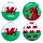 Welsh Dragon Wales (Cymru) Souvenir Compact Mirror