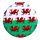 Welsh Dragon Wales (Cymru) Souvenir Compact Mirror