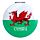 Welsh Dragon Wales (Cymru) Souvenir Compact Mirror