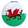 Welsh Dragon Wales (Cymru) Souvenir Compact Mirror