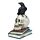 Crow Standing on Skull & Books Ornament